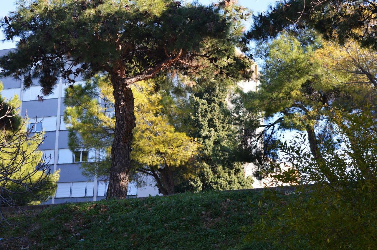 Studio Two Roses Διαμέρισμα Σπλιτ Εξωτερικό φωτογραφία